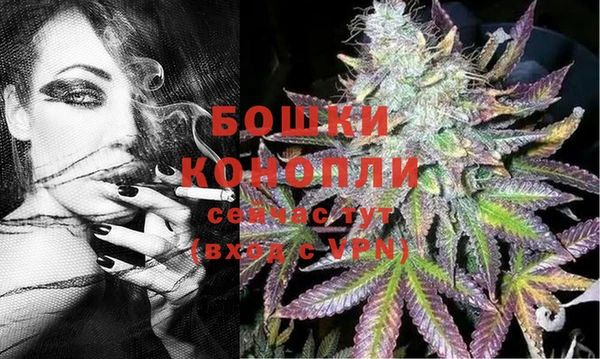 крисы Бугульма