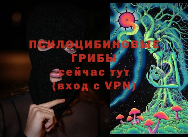 ГАЛЛЮЦИНОГЕННЫЕ ГРИБЫ Верхнеуральск