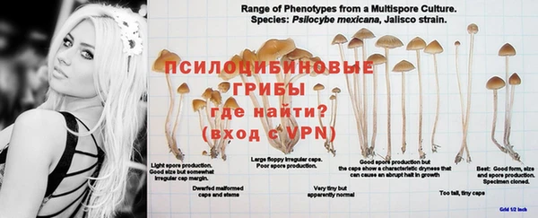 крисы Бугульма