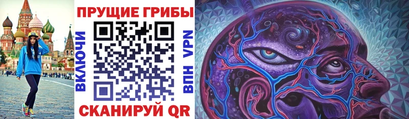 что такое наркотик  Волосово  Галлюциногенные грибы Psilocybine cubensis 